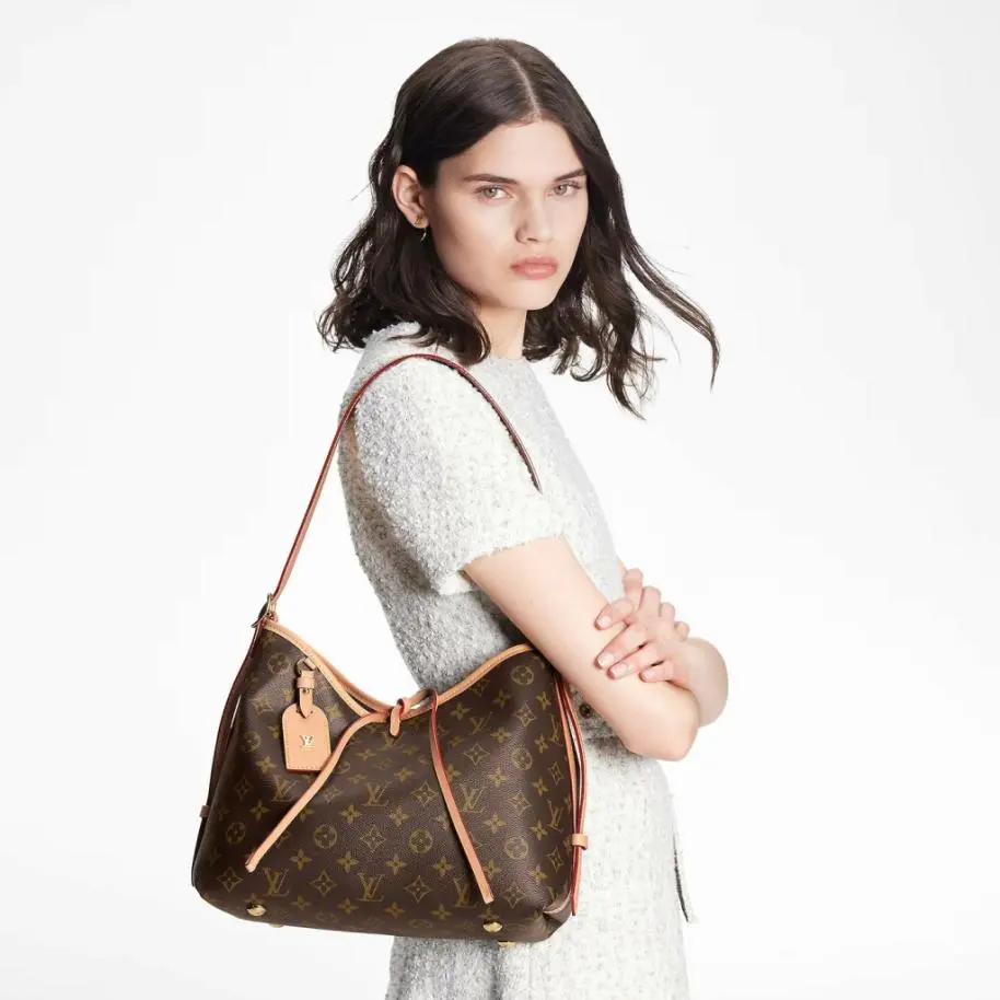 Louis Vuitton Carry All Bag F113 | Louis Vuitton M46203 Carry All PM - Image 3